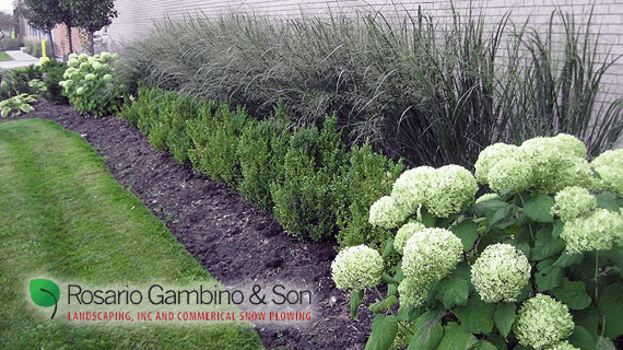 Canyon Landscaping Near Me