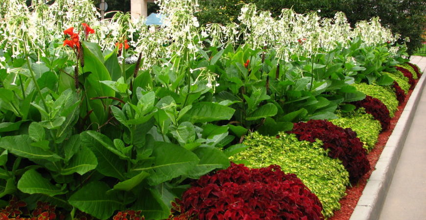 Floriculture: Seasonal Landscaping